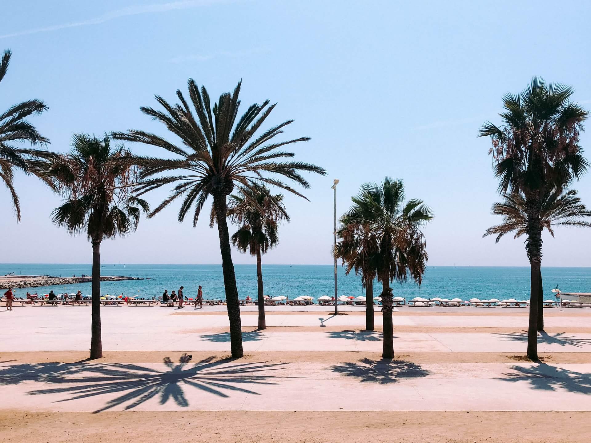 Barcelona Travel Informations: Everything You Need To Know About The Most Beautiful City In Spain 12 palms and sunset in barcelona