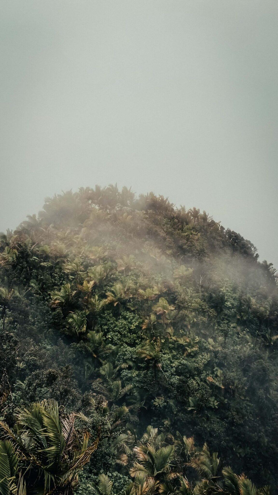 El Yunque National Forest, Rio Grande, United States