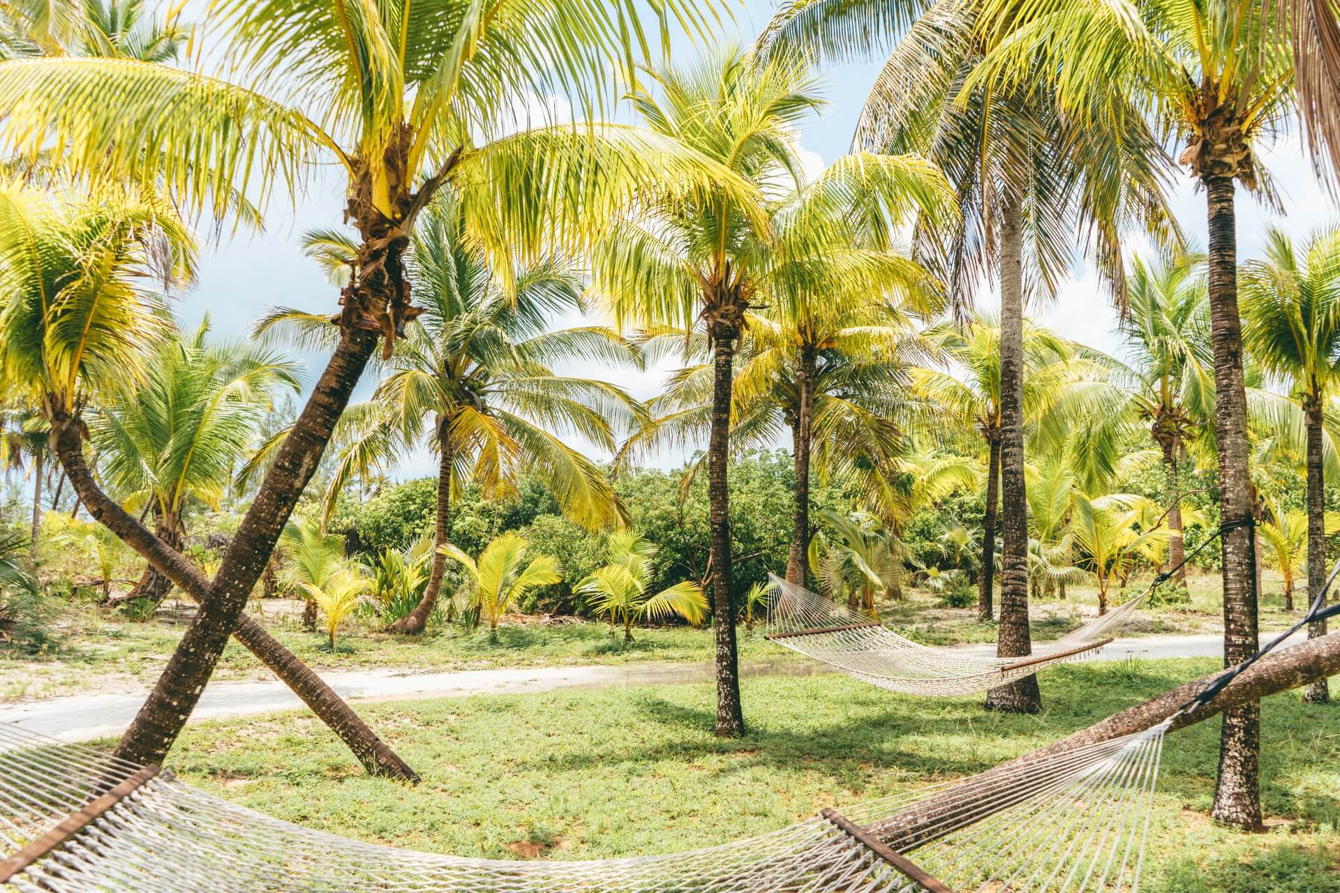 Explore And Find The Best Things To Do In The Bahamas: Vacation In Paradise 11 Eleuthera, Bahamas