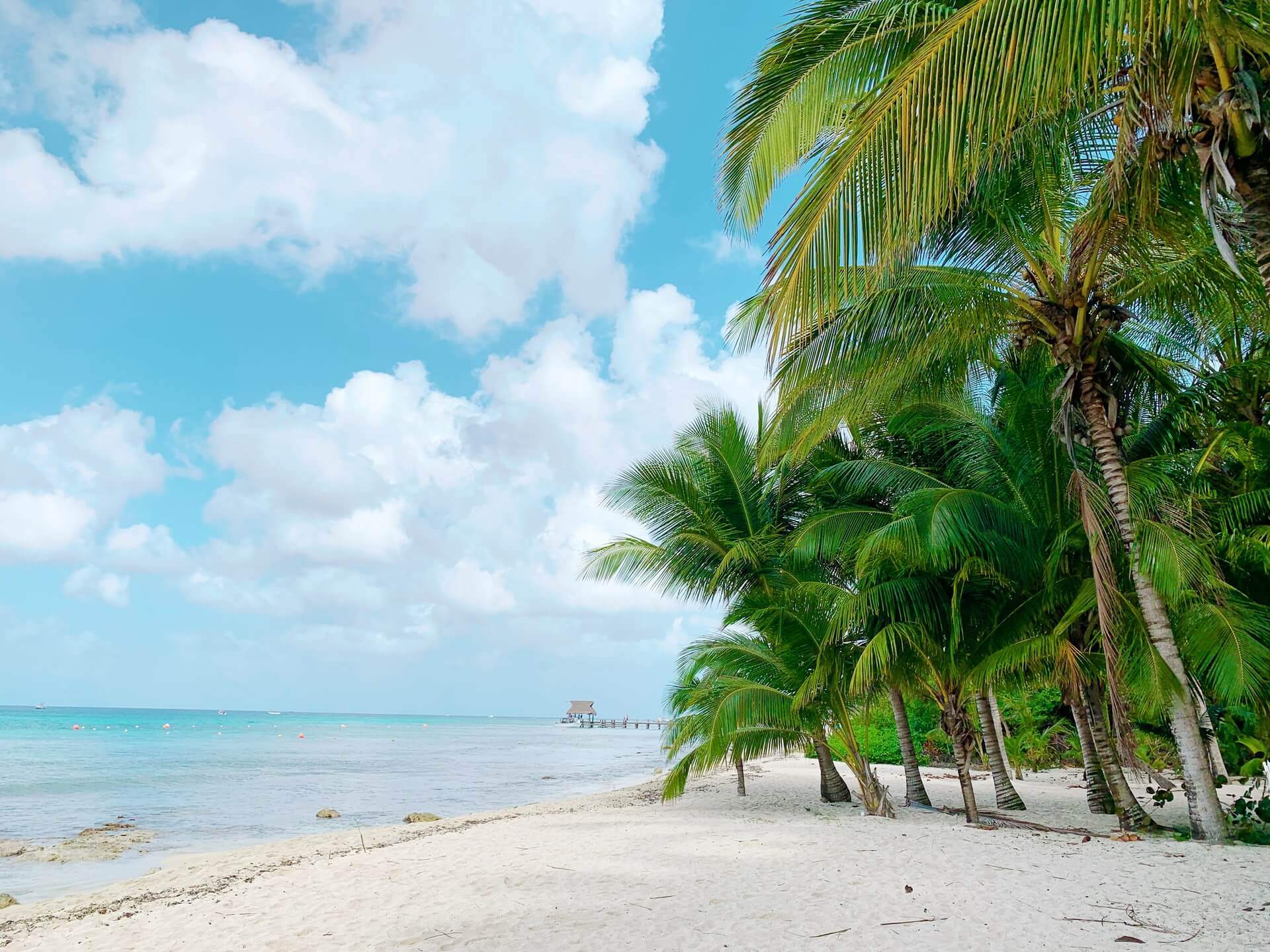 Plan Your Trip To Cozumel: Where Partiers and Relaxers Alike Find a New Home 22 Turquoise Water Beach ,Cozumel , Mexico