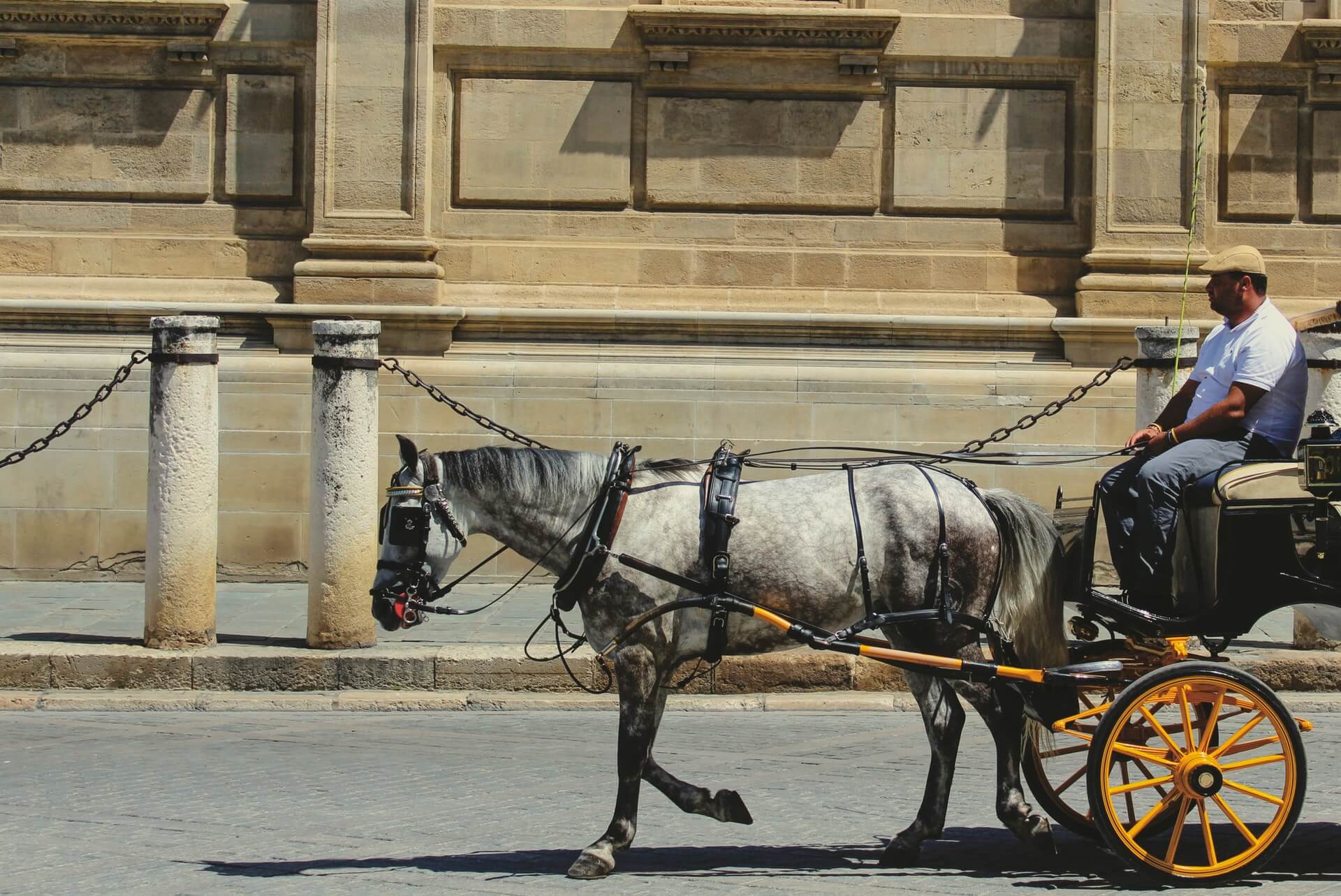 Seville Travel Guide: How to Make the Most of Your Trip 17 Cart in Sevilla, Sevilla, Spain