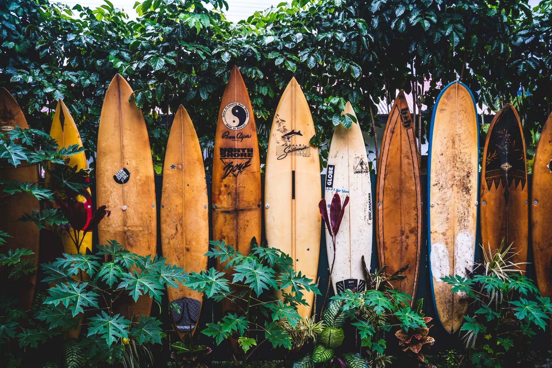 Hanalei Bay, Hawaii, USA