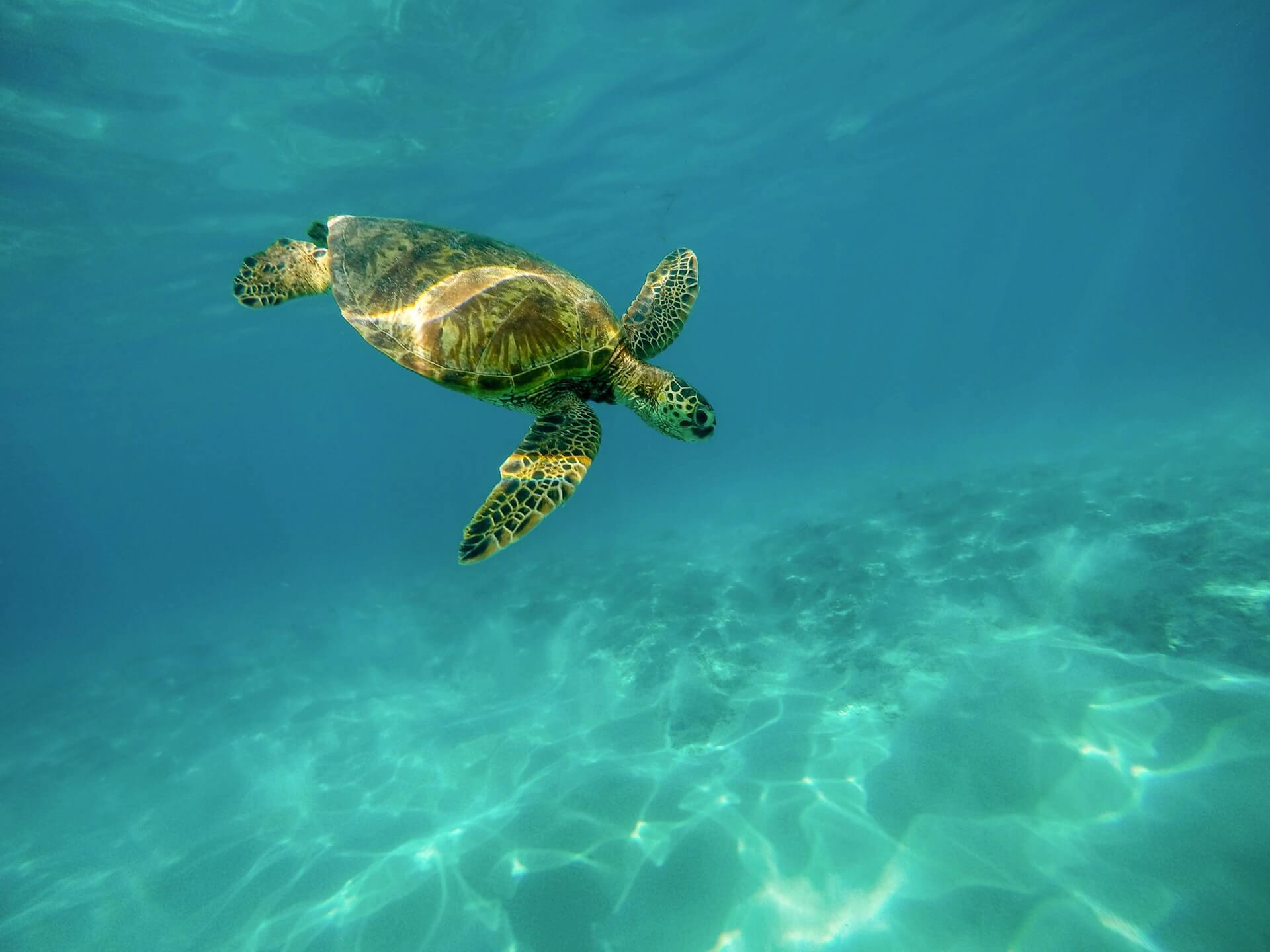 O‘ahu, Hawaii United States