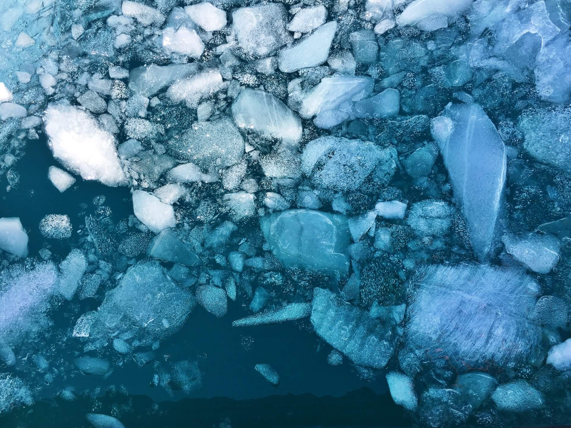 How to Get Into Antarctica, Explained: The Ultimate Guide 9 How to get into Antarctica