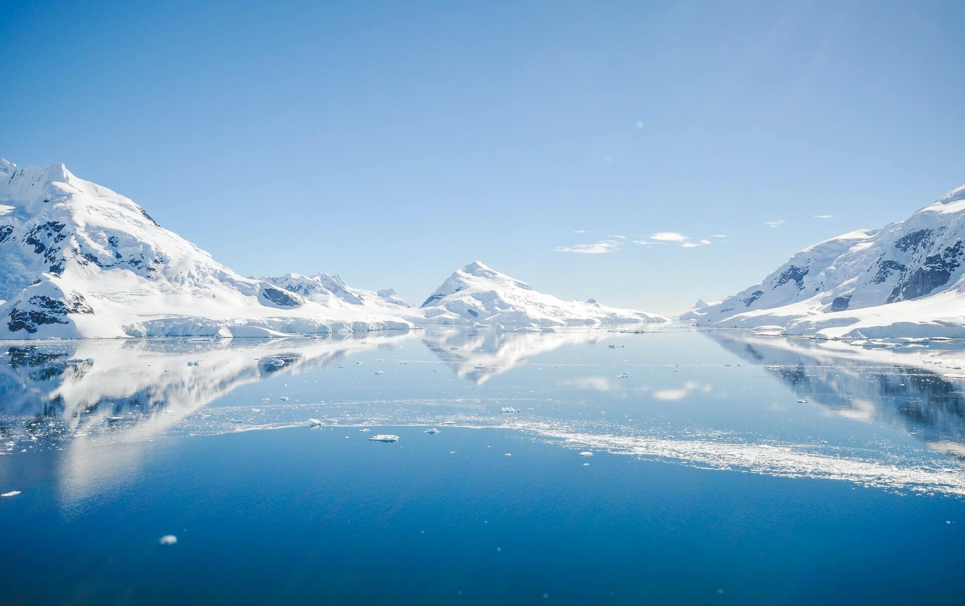 How to Get Into Antarctica, Explained: The Ultimate Guide 7 Elephant Island, Antarctica