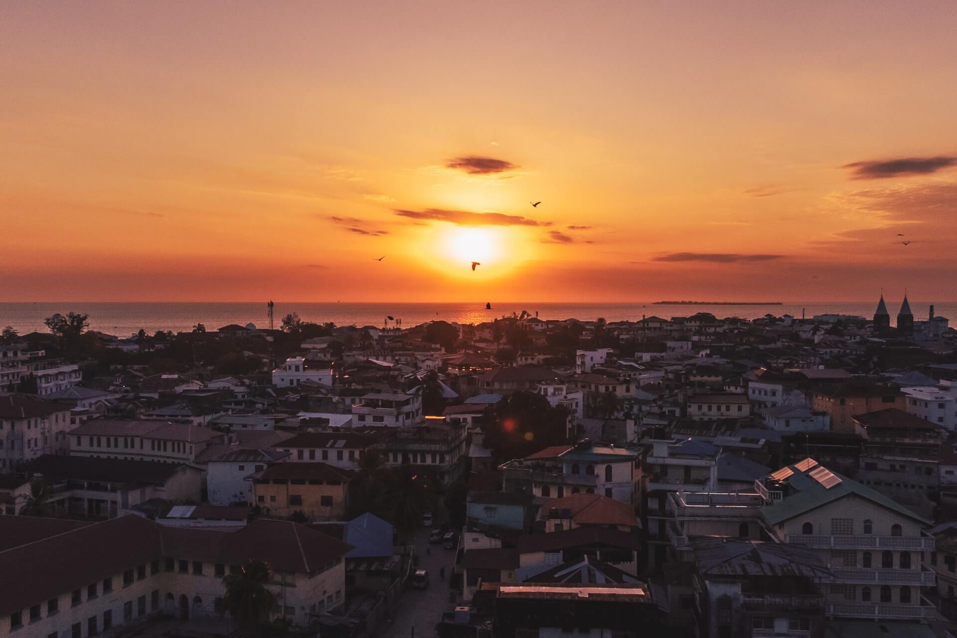 The Best Things to Do in Zanzibar: The Ultimate Guide to Planning and Scheduling Your Trip 15 Stone Town, Zanzibar