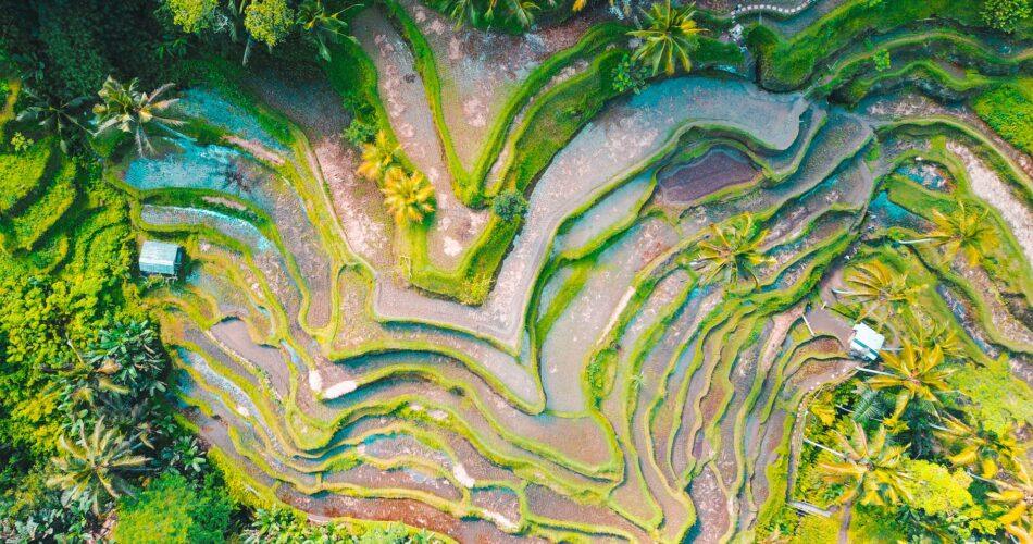best places to travel alone in Asia