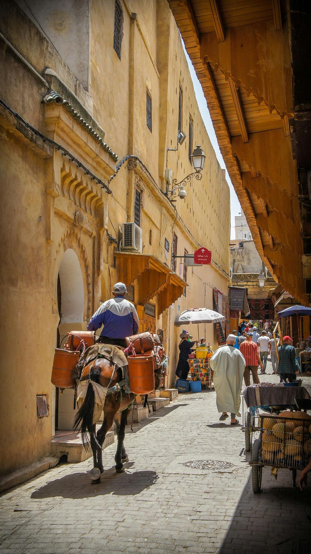 Fes Morocco Fes Morocco