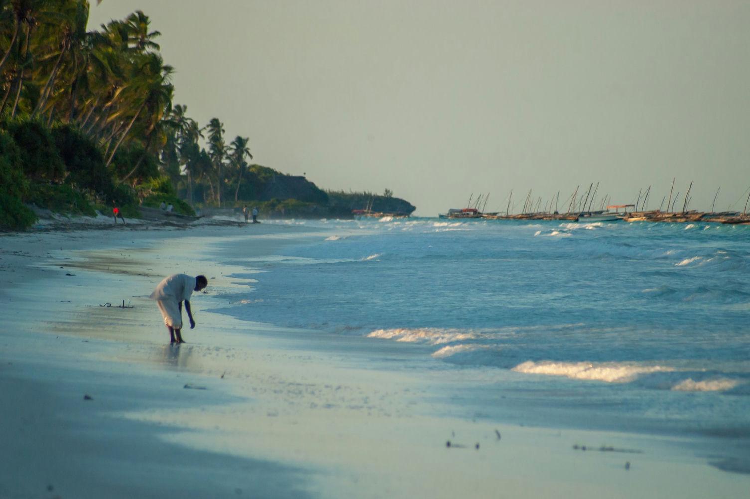 Matemwe Beach Zanzibar Tanzania Matemwe Beach Zanzibar Tanzania