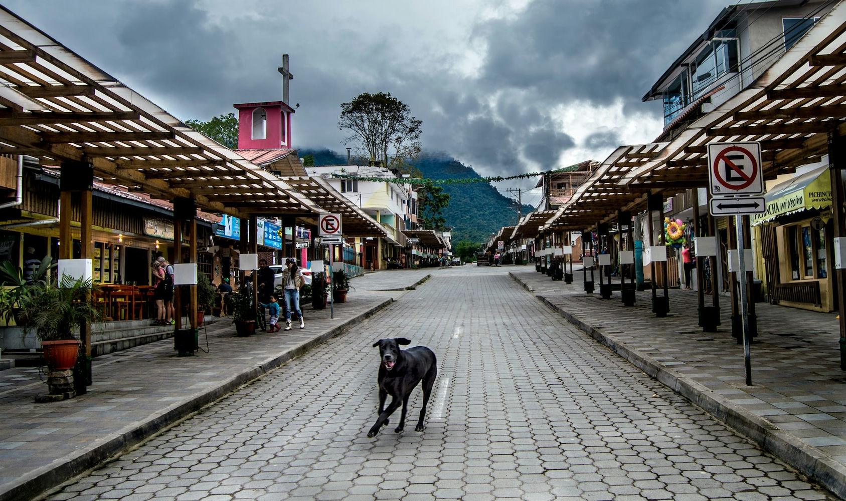 Mindo Ecuador Mindo Ecuador