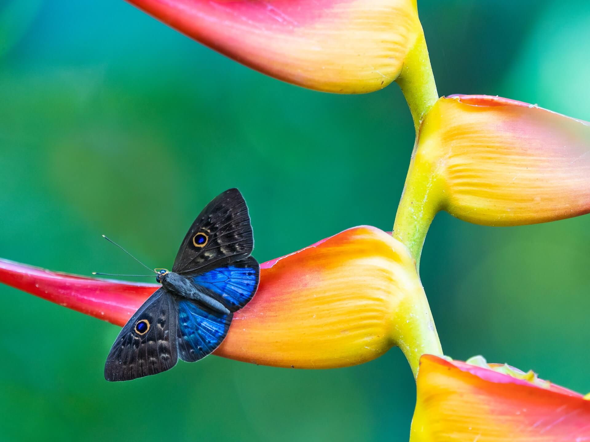 Park Trail Puntarenas Province Quepos Costa Rica Park Trail Puntarenas Province Quepos Costa Rica