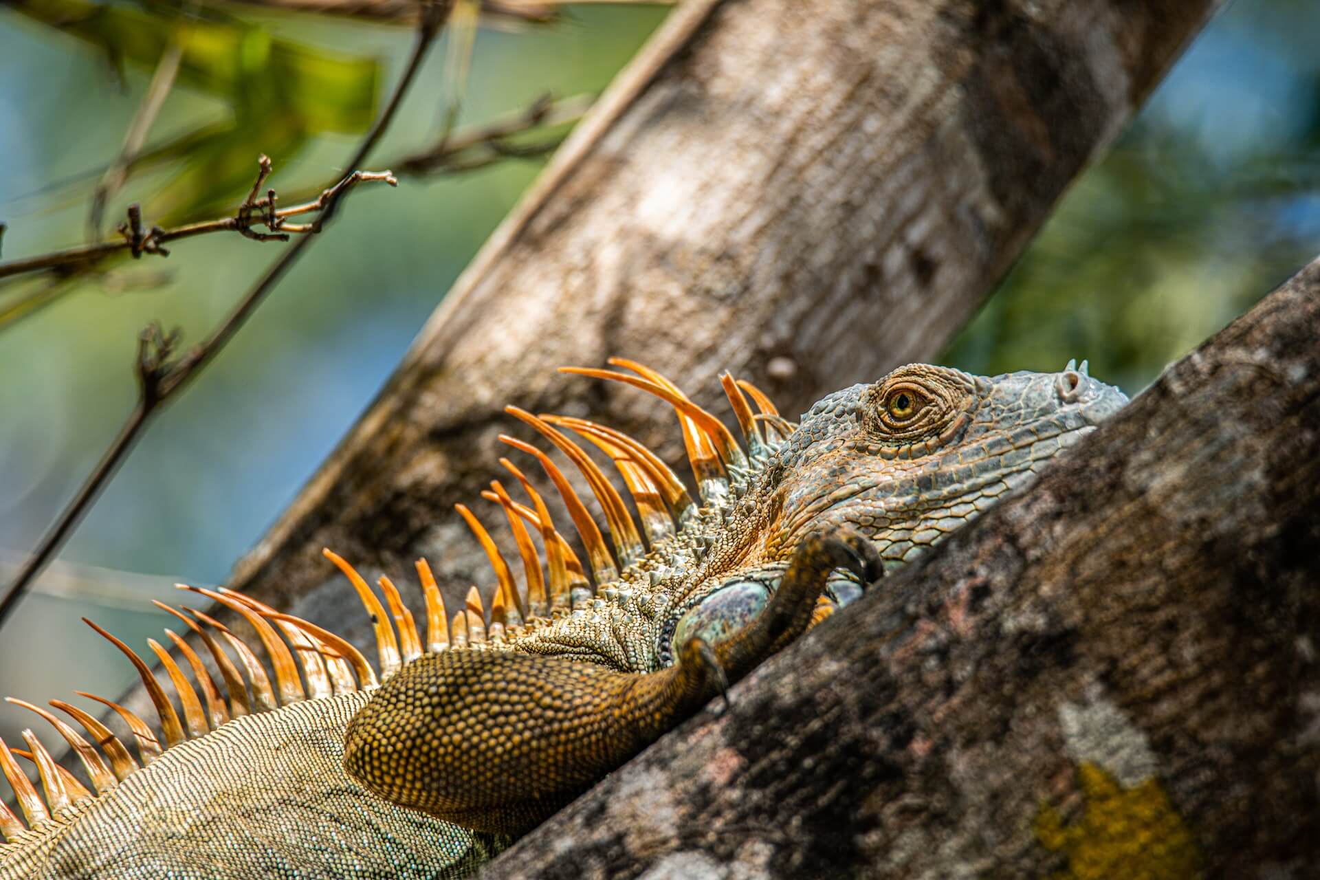 Parque Nacional Palo Verde Guanacaste Province