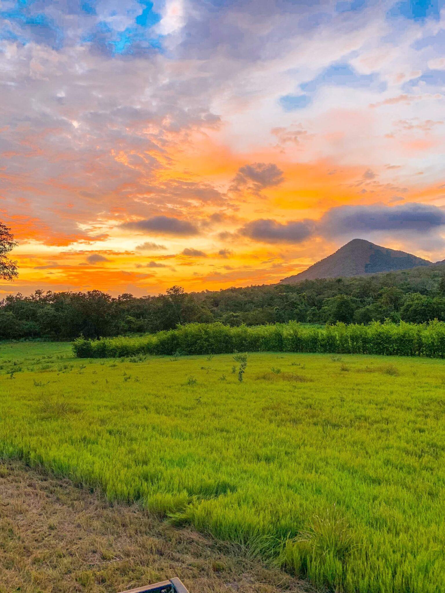 Provincia de Guanacaste Curubande Costa Rica