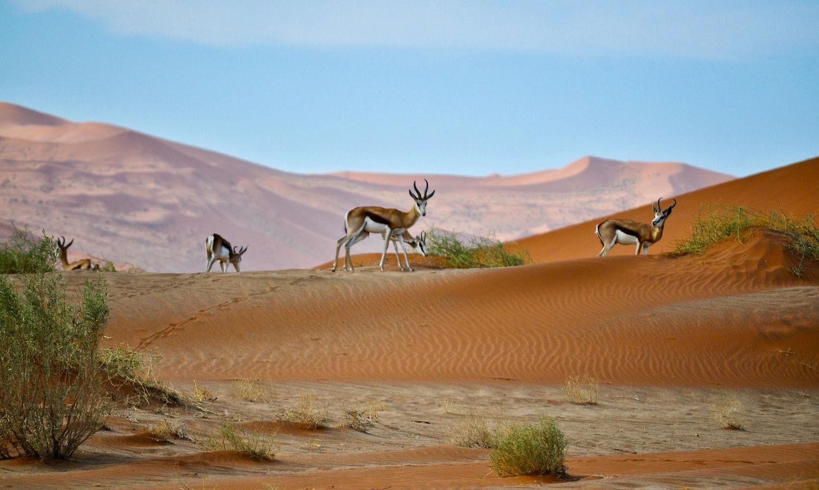 Sossusvlei Lodge Sesriem Namibia Sossusvlei Lodge Sesriem Namibia