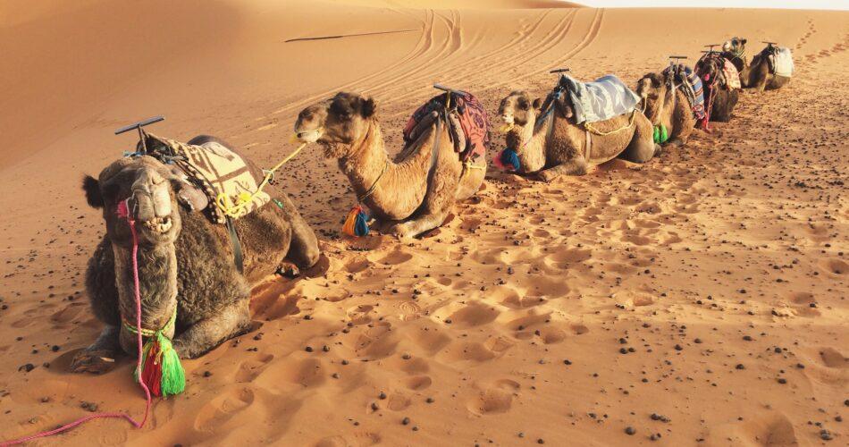 cities in morocco