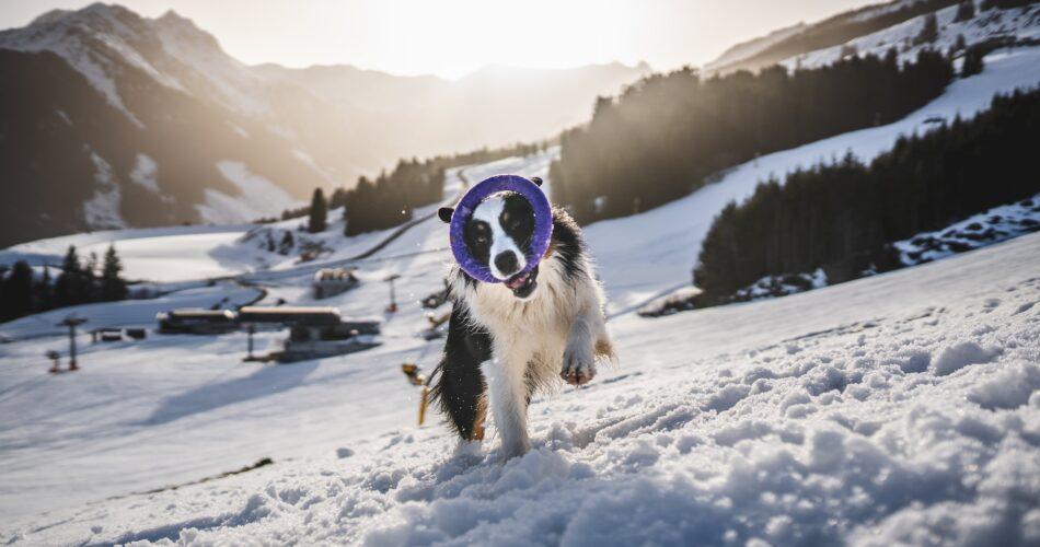 Best Winter Honeymoon Destinations In Europe