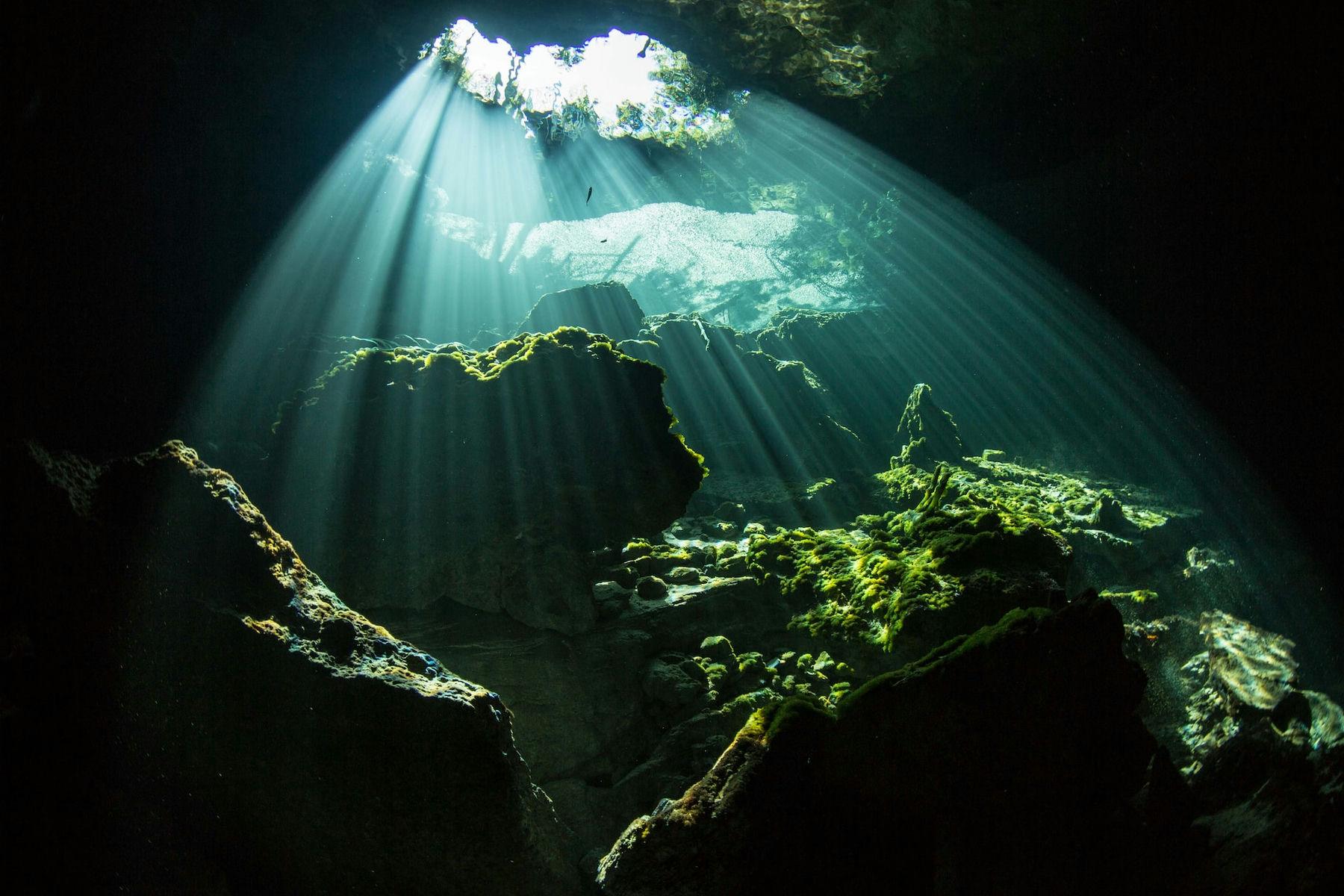 Bens Cavern in the Bahamas Grand Bahama The Bahamas