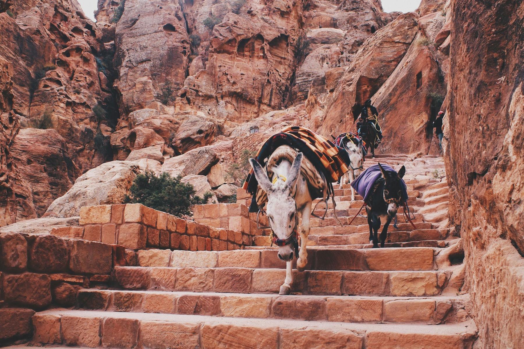 Petra Jordan