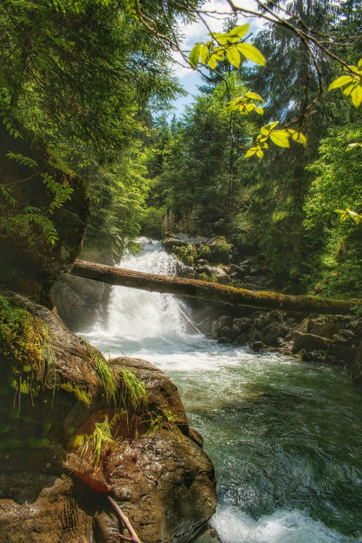 Poiana Mărului, Romania
