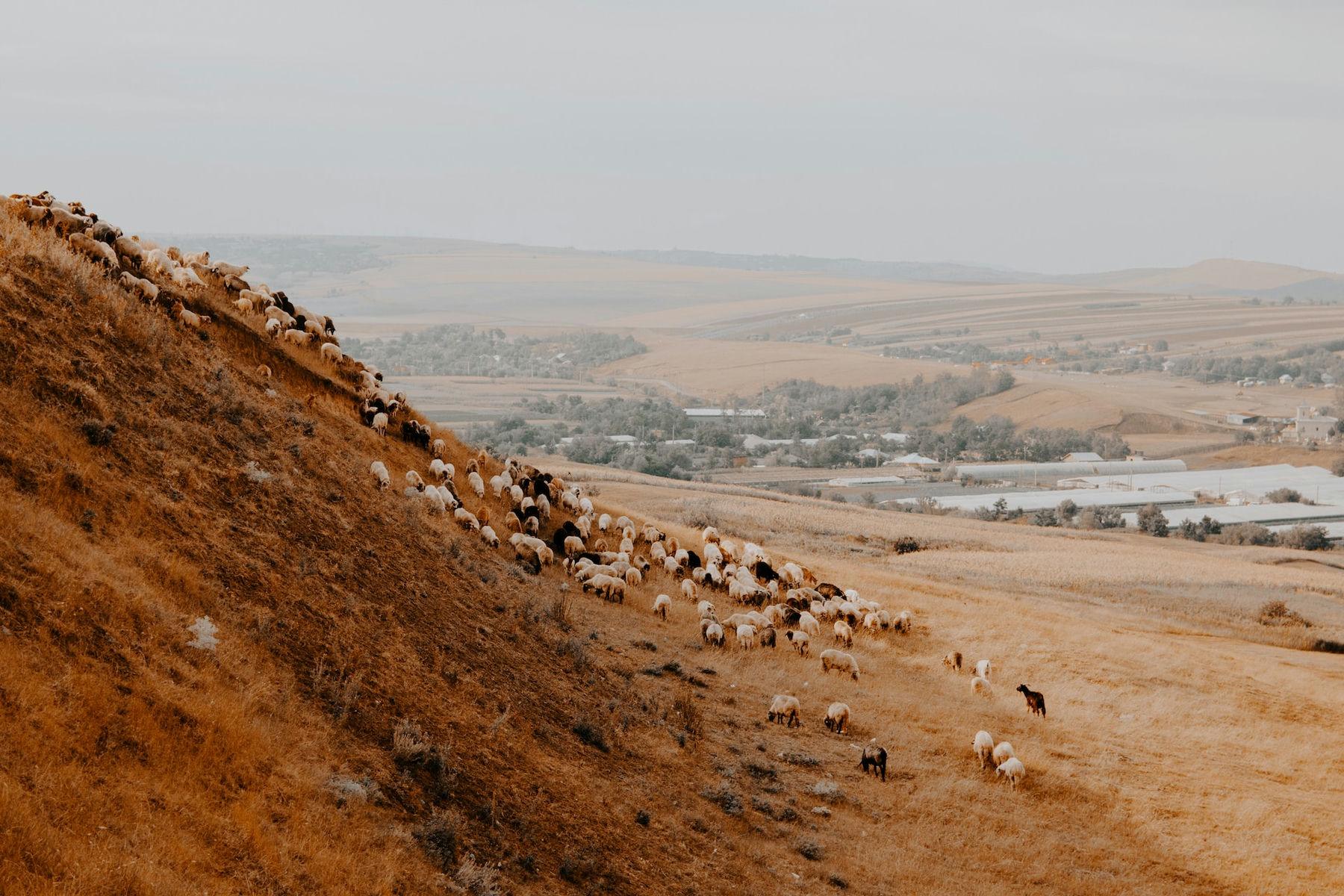 Vatra Dornei, Romania