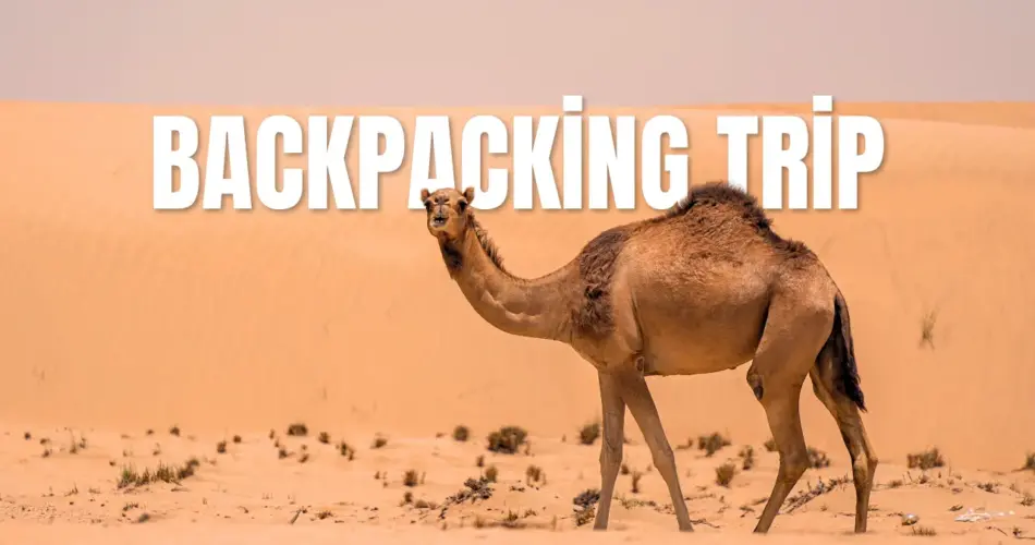 Backpacking trip