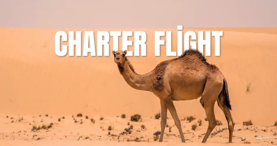 Charter flight