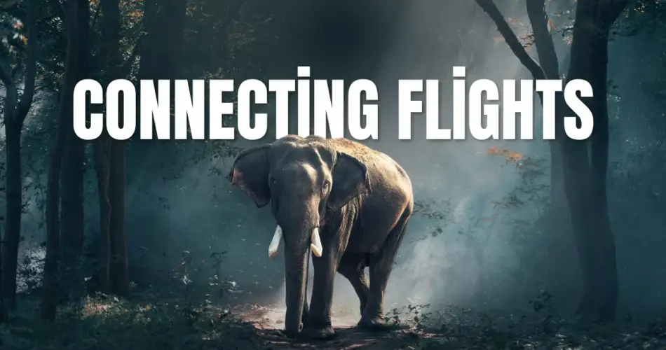 Connecting flights
