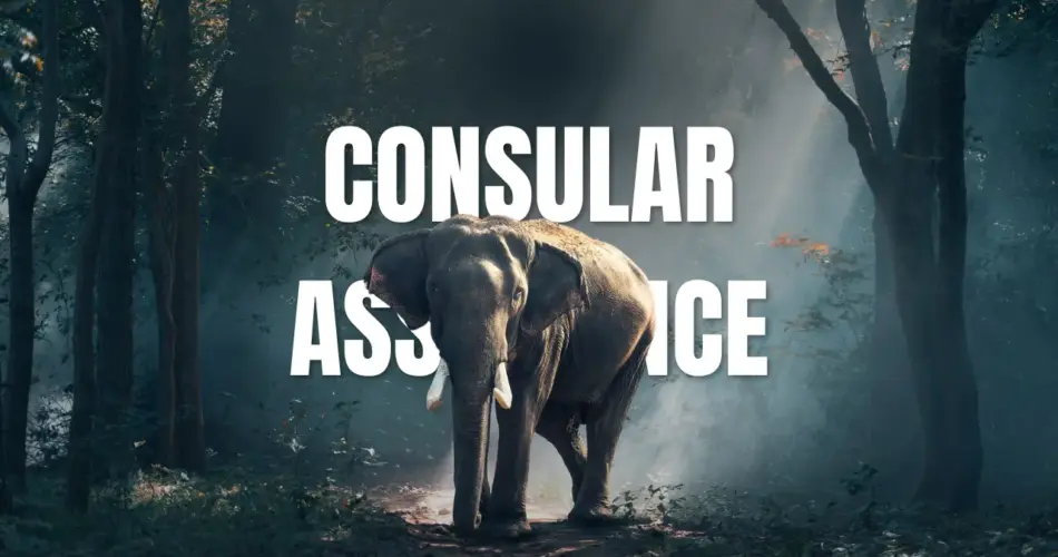 Consular assistance