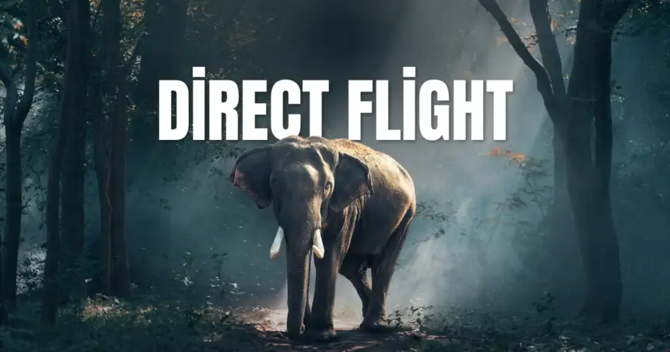 Direct flight