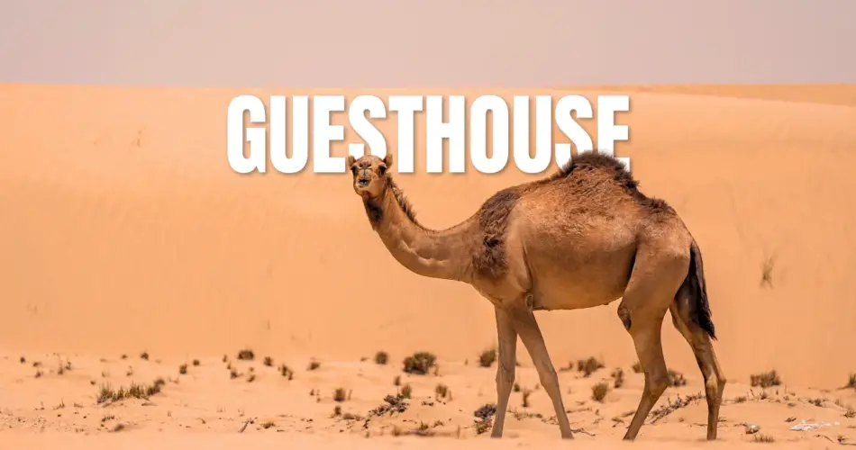 Guesthouse