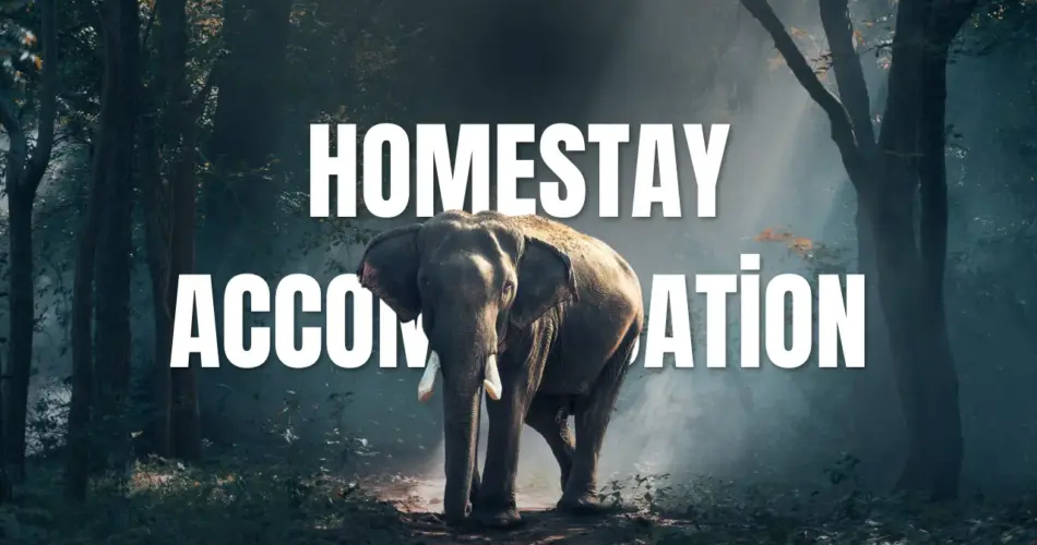 Homestay accommodation
