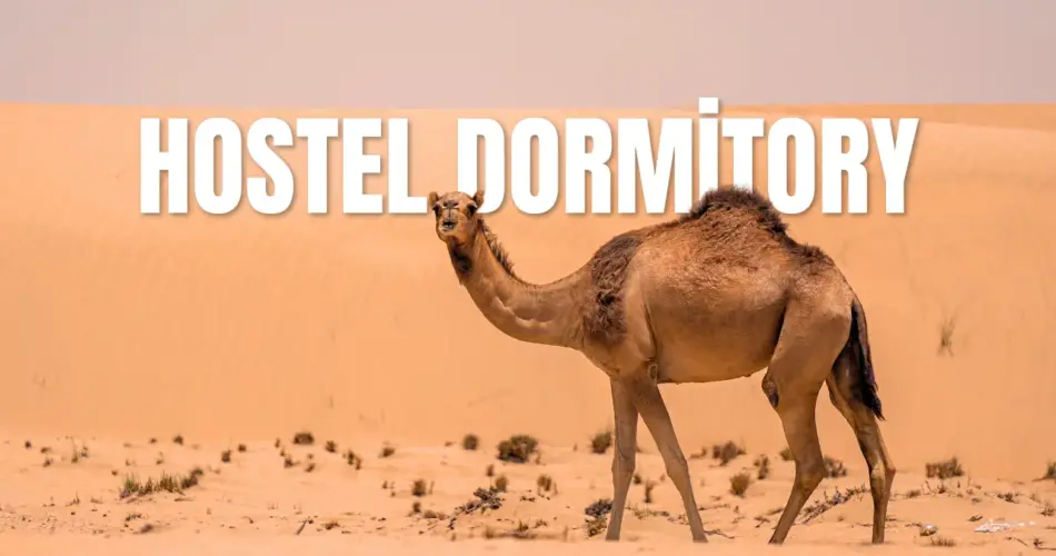 Hostel dormitory