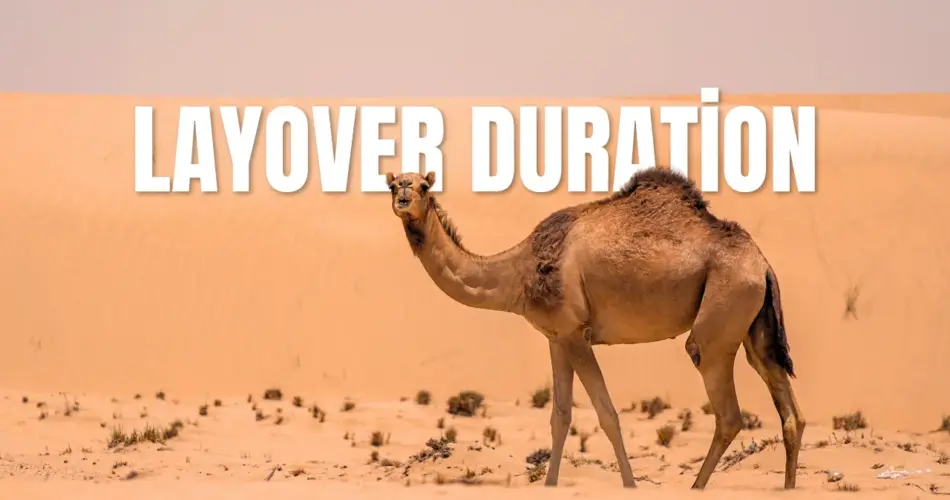 Layover duration