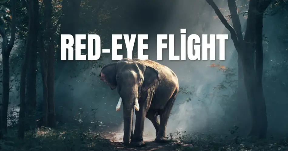 Red eye flight
