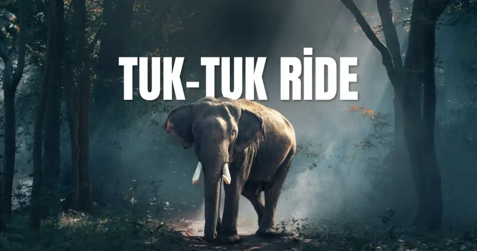 Tuk tuk ride